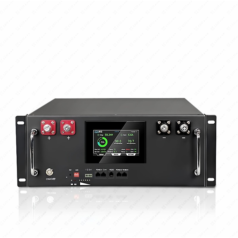 51,2 V 100 Ah LiFePO4 rackmont – Energy Storage Rack Bewertung und Preis